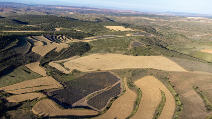 Lavanda San Felices Soria