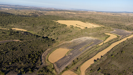 Lavanda San Felices Soria