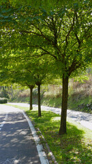 Fototapeta premium Beautiful view of a park in La Spezia with autumn colors