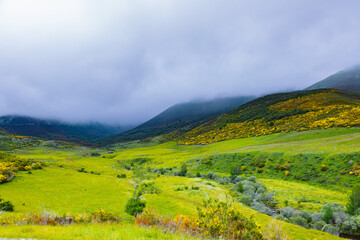 pastures and shepherds