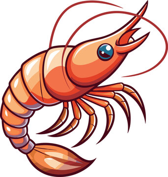 recommend clip art: prawn clip art vector
