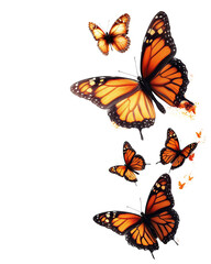 Dramatic Lighting Butterflies Photography on transparent background © Thanh
