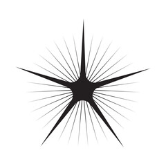 Shine icon, star icon.