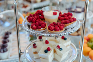 Candy bar from different cookies