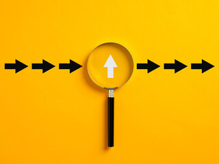 Focusing on growth trends and analyzing development opportunities in business.
