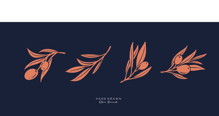 Olive Branch and olive oil logo or olive icon, herbs elements in vector format, floral olive frame and border virgin oil,  hand drawn olive branch botanical
