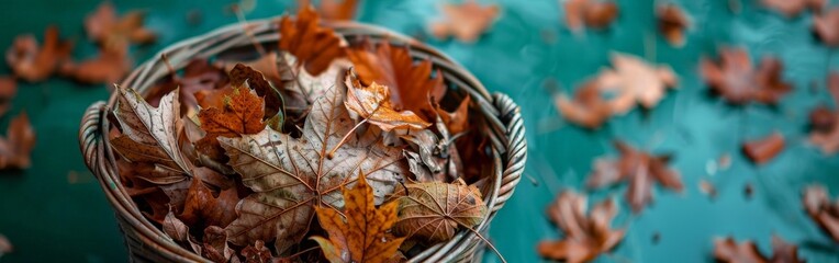 Fototapeta premium Basket of Autumn Leaves on Green Backdrop