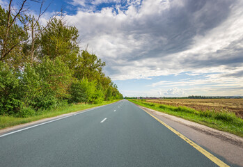 A road with a few trees on the side and a cloudy sky