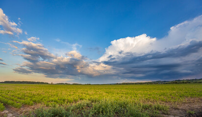 A vast green field stretches out beneath a cloudy sky, filled with large, fluffy clouds, creating a dramatic and peaceful scene.