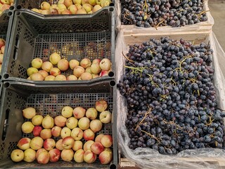Fresh nectarines and dark grapes in crates