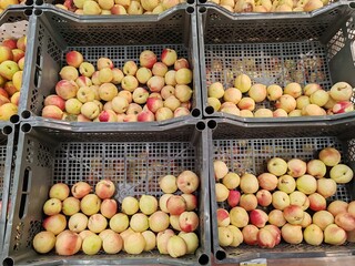  Peaches and Apricots Display