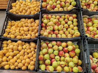 Fresh apricots and peaches on display