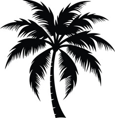 Palm tree silhouette