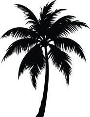 Palm tree silhouette