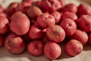 Raw baby red potatoes