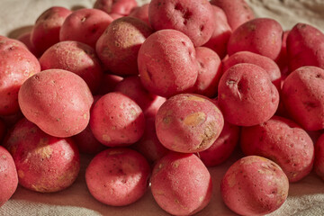 Raw baby red potatoes