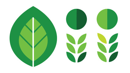 Obraz premium set of vector logos with wheat leaves