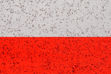Polska; polski; flaga; owady; insekty; horda; intruz; stado; muchy; mucha; symbol; biało czerwona; biel; czerwień; grafika; symbol; symbolika