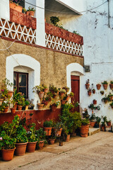 Fotografía de un conjunto de macetas fuera de una casa tradicional española en Extremadura.