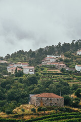 Fototapeta premium Fotografía de las casas en la Ribera del Duero, Portugal.