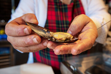 Street Flavors Stuffed Mussels. Hand Holding Mussel. Heap of Black Shellfish.