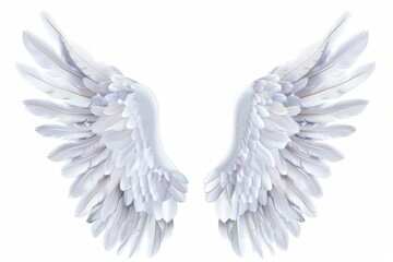 Obraz premium Wings icon, angel wings emblem, bird feathers silhouette, pigeon sign, spirituality symbol, elegance flight