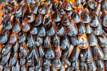 Street Flavors Stuffed Mussels. Hand Holding Mussel. Heap of Black Shellfish.