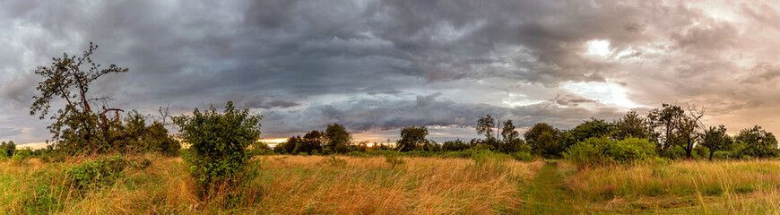 Obraz premium Panoramaaufnahme im Landschaftsschutzgebiet Heiligenstock mit grauen Wolkenhimmel im Abendlicht in Frankfurt am Main 