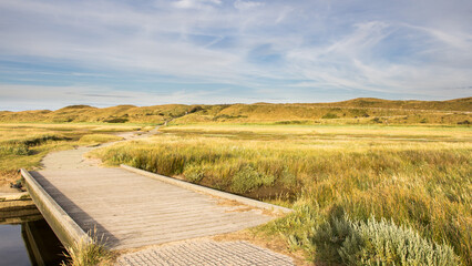 Landscape with sand dunes and wooden bridge in nature park Slufter at wadden islands Texel in the...