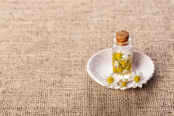 Fresh chamomile flowers and bottle with chamomile essential on a linen texture background. Hair treatment concept