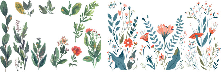 Hand-drawn wild flower and herb set. Volume 2. Vintage modern illustration.