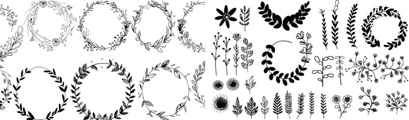 Collection of floral borders, dividers, flowers, leaves and branches. Modern isolated elements