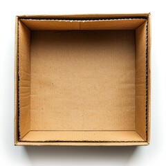 Fototapeta premium Empty cardboard box with a plain interior.