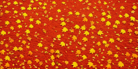 Colorful seasonal autumn background pattern, Vibrant carpet of fallen forest red, orange and yellow leaves.
