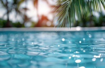 Fototapeta premium Palm Tree Over Pool Water