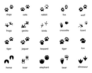 Set of  traces of wild animals, illustration of black silhouettes		