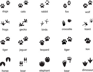 Set of  traces of wild animals, illustration of black silhouettes	