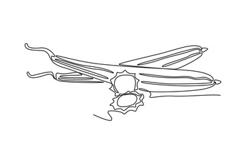 Single one line drawing of whole and sliced healthy organic sponge gourd for logo identity. Fresh Vietnamese luffa concept for vegetable icon. Continuous line draw design graphic vector illustration