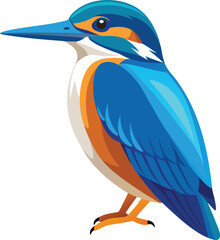 A vector illustration  of A Cute kingfisher Bird
