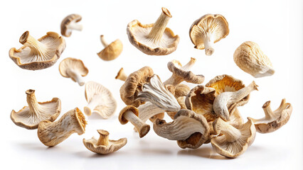 Mushrooms are captured mid-air, showcasing their diverse shapes and textures against a bright white background, evoking a sense of freshness and vitality