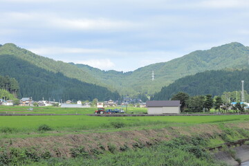 福井県池田町の田んぼと山と曇り空