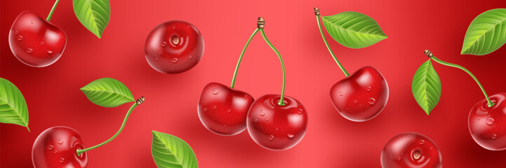 Realistic cherry background with leaves, water drops. Vector illustration of fresh cherry flying on red background.