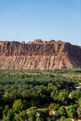 サウジアラビアのデーツ