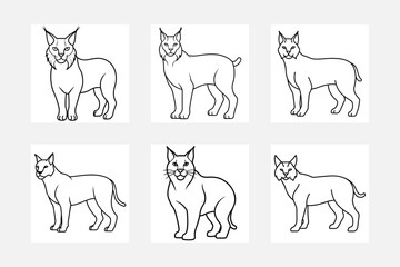 Lynx line art illustration set for kids coloring books
