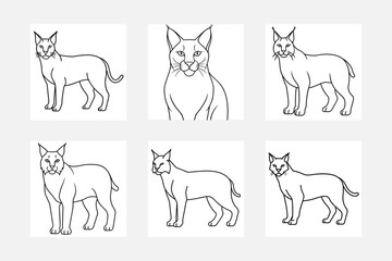 Artistic lynx line art illustration set for decor
