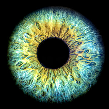 Macro shot of a colorful human iris with intricate details and mesmerizing patterns
