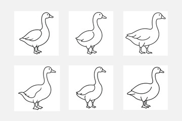 Beautiful goose line art illustration set
