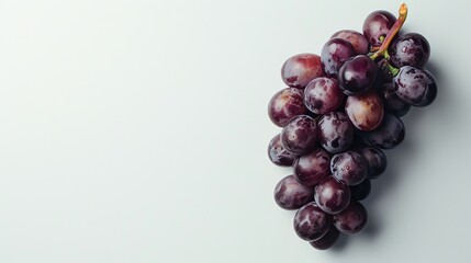Fototapeta premium A bunch of ripe juicy purple grapes with water drops on the skin, isolated on white background.