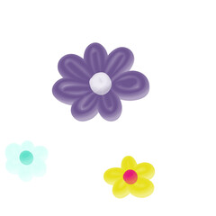 flowers on white