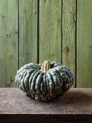 Marina Di Chioggia Heirloom Pumpkin